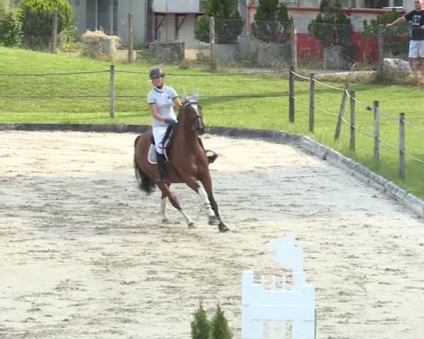 Reitturnier Turbenthal 2019