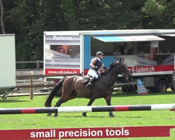 Reitturnier Kappelen-Lyss 2019