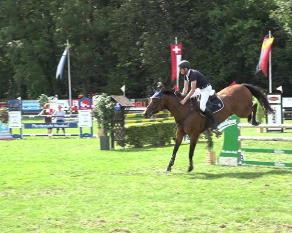 Reitturnier Kappelen-Lyss 2019