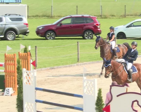 Reitturnier Turbenthal 2019