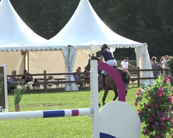 Reitturnier Kappelen-Lyss 2019