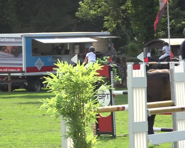 Reitturnier Kappelen-Lyss 2019