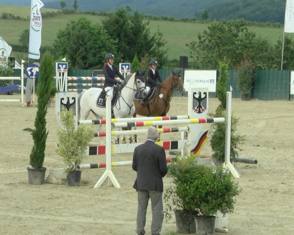 Reitturnier Lindlar-Süttenbach 2019