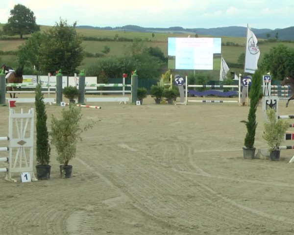 Reitturnier Lindlar-Süttenbach 2019