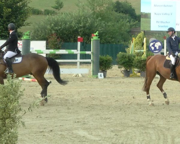 Reitturnier Lindlar-Süttenbach 2019