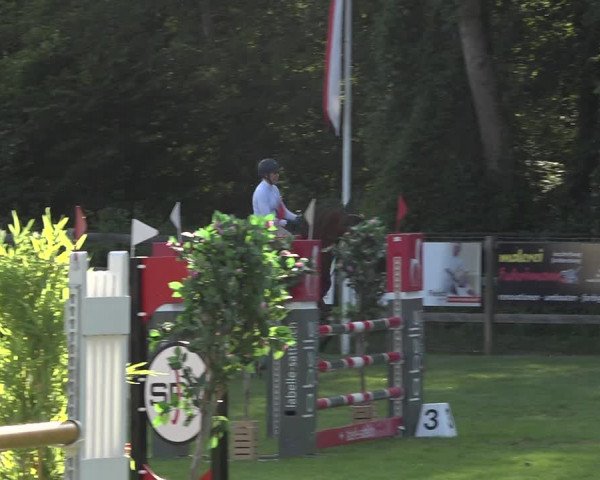 Reitturnier Kappelen-Lyss 2019