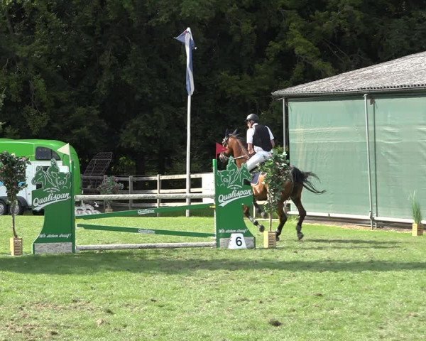 Reitturnier Kappelen-Lyss 2019