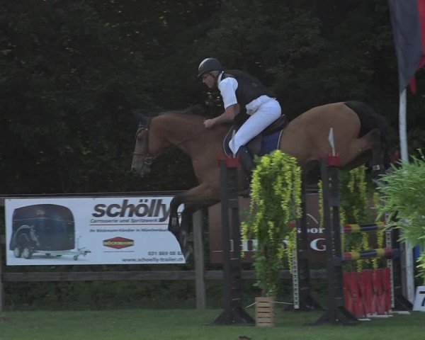 Reitturnier Kappelen-Lyss 2019