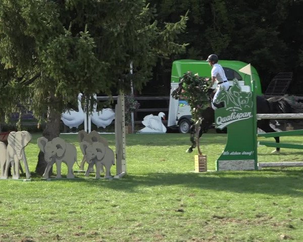 Reitturnier Kappelen-Lyss 2019