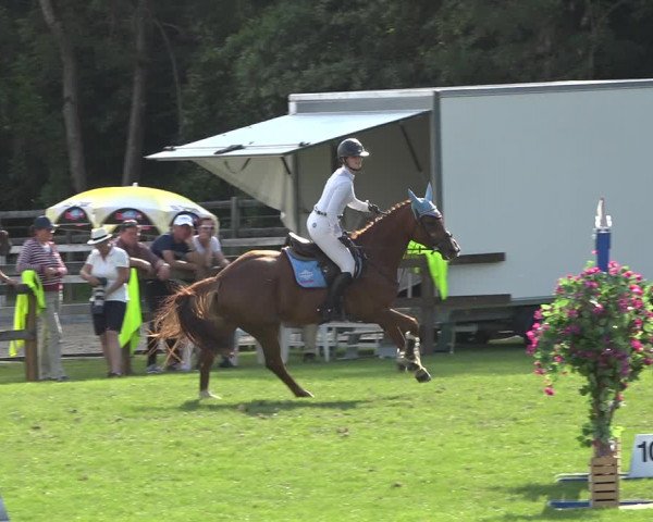 Reitturnier Kappelen-Lyss 2019