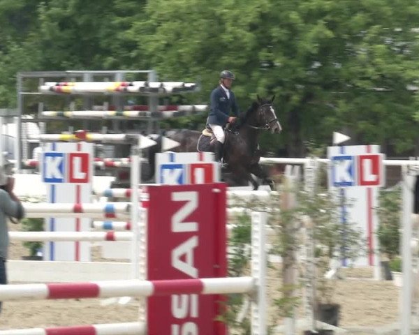 Reitturnier RA Haren/Lüssing 2019