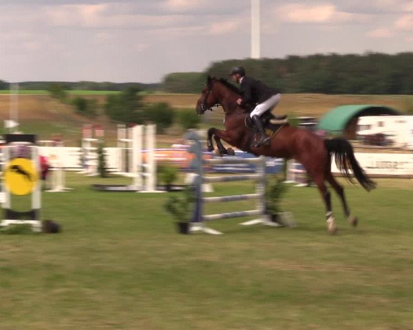 Reitturnier Ladeburg 2019
