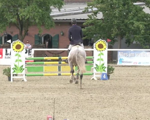 Reitturnier RA Haren/Lüssing 2019