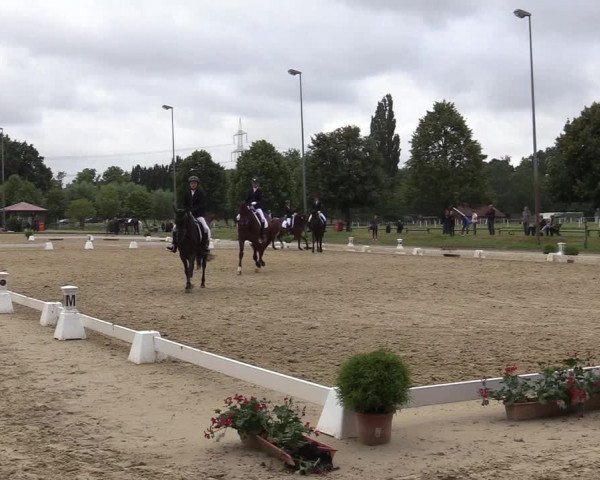 Reitturnier Münster-Roxel 2019