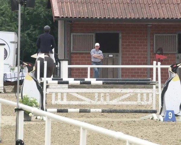 Reitturnier RA Haren/Lüssing 2019
