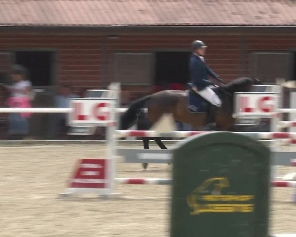 Reitturnier RA Haren/Lüssing 2019