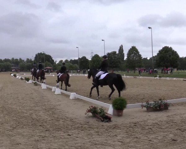 Reitturnier Münster-Roxel 2019