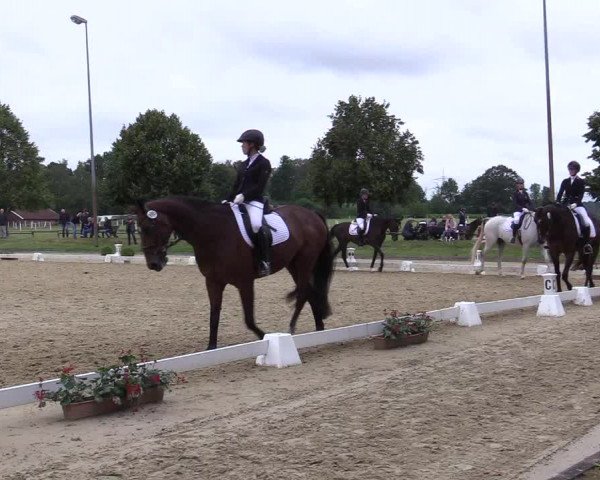 Reitturnier Münster-Roxel 2019