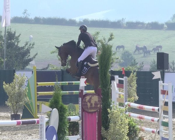 Reitturnier Lindlar-Süttenbach 2019