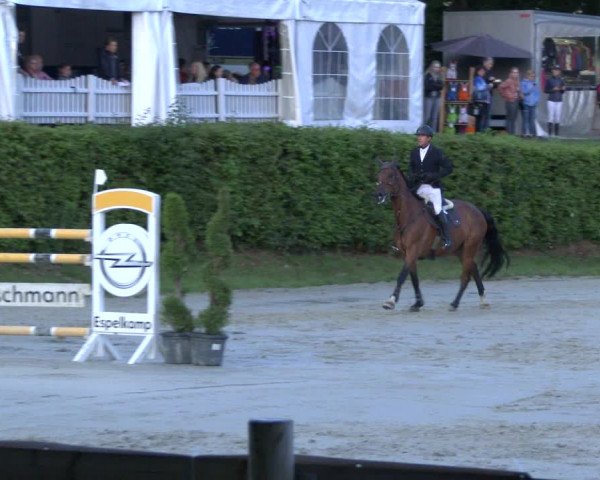 Reitturnier Vlotho-Exter 2019