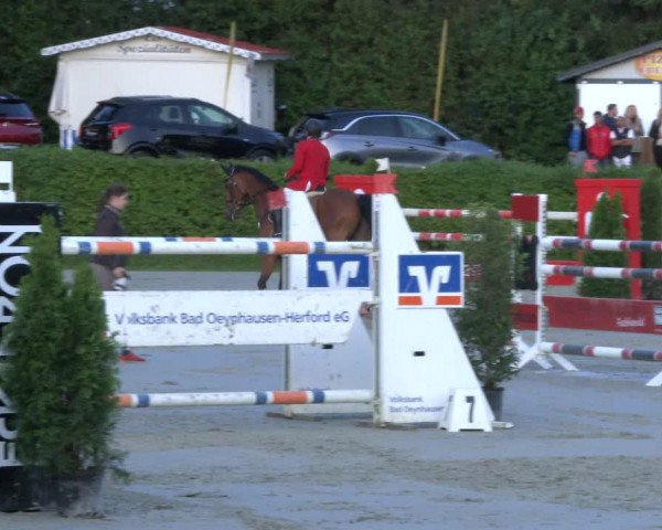 Reitturnier Vlotho-Exter 2019