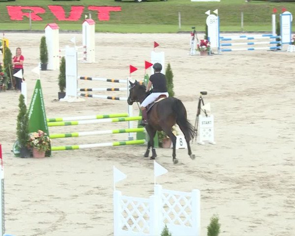 Reitturnier Turbenthal 2019