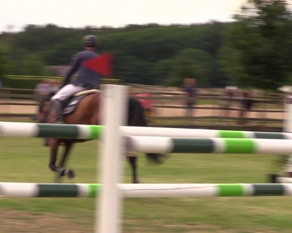 Reitturnier Ladeburg 2019