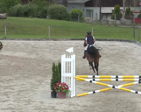 Reitturnier Turbenthal 2019