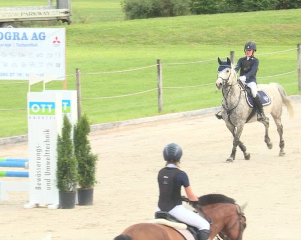 Reitturnier Turbenthal 2019
