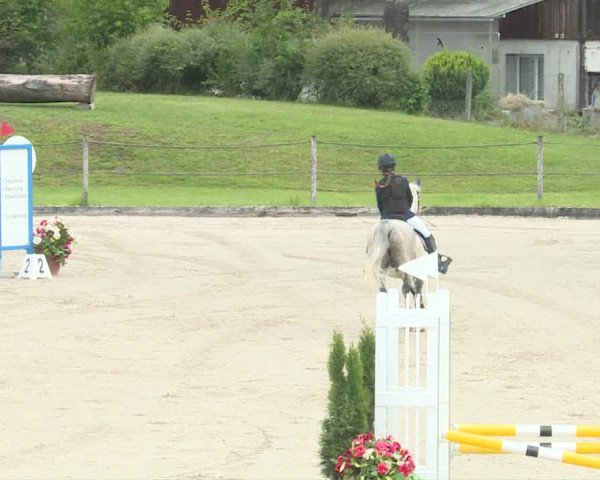 Reitturnier Turbenthal 2019