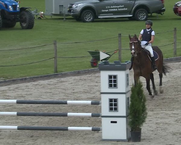 Reitturnier Turbenthal 2019
