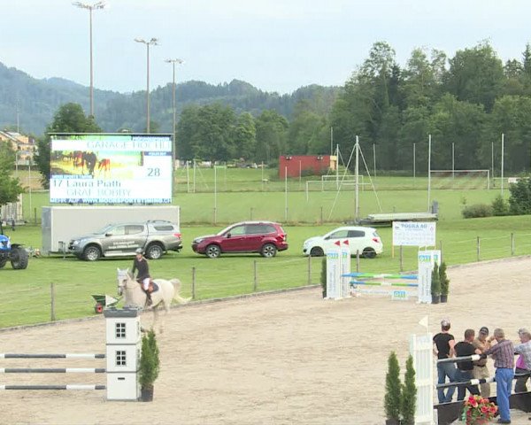 Reitturnier Turbenthal 2019