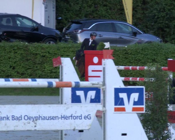 Reitturnier Vlotho-Exter 2019