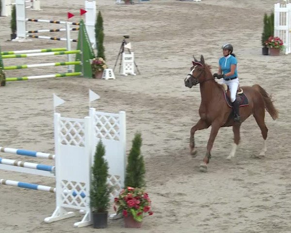 Reitturnier Turbenthal 2019