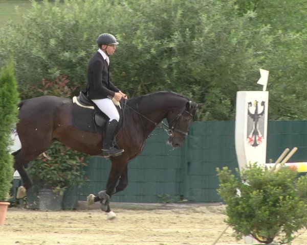 Reitturnier Lindlar-Süttenbach 2019