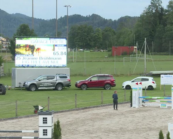 Reitturnier Turbenthal 2019