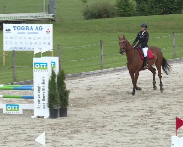 Reitturnier Turbenthal 2019