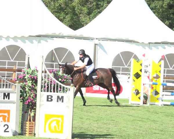 Reitturnier Kappelen-Lyss 2019