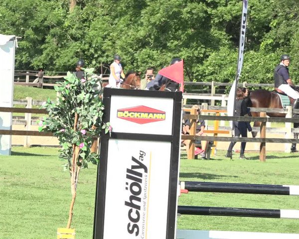 Reitturnier Kappelen-Lyss 2019