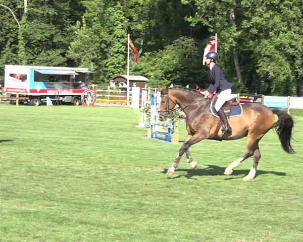 Reitturnier Kappelen-Lyss 2019