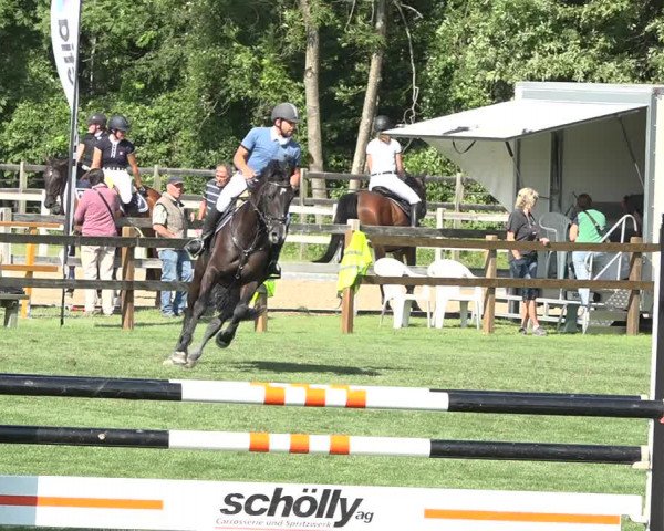 Reitturnier Kappelen-Lyss 2019