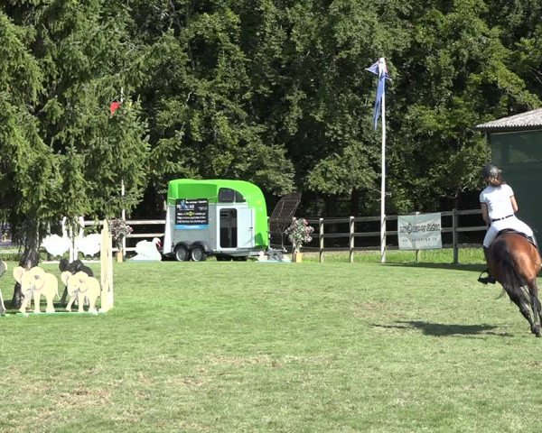 Reitturnier Kappelen-Lyss 2019