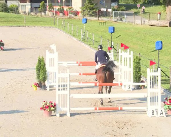Reitturnier Turbenthal 2019