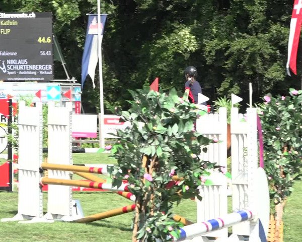 Reitturnier Kappelen-Lyss 2019