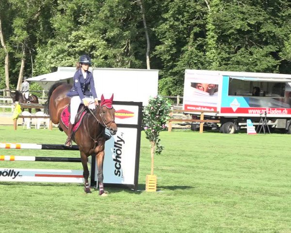 Reitturnier Kappelen-Lyss 2019