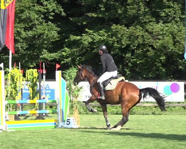 Reitturnier Kappelen-Lyss 2019