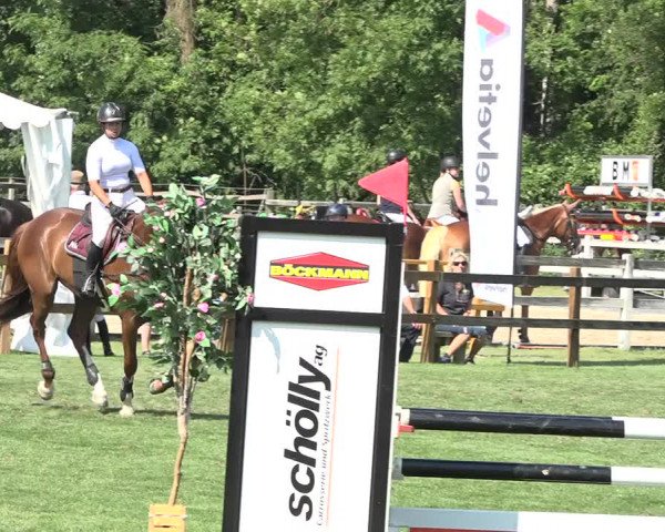 Reitturnier Kappelen-Lyss 2019