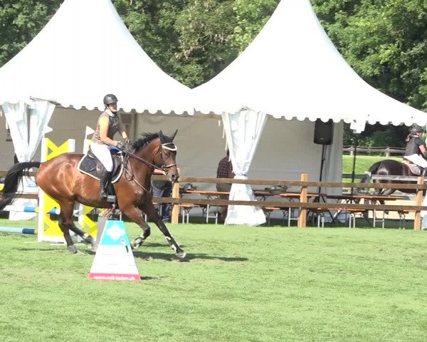 Reitturnier Kappelen-Lyss 2019