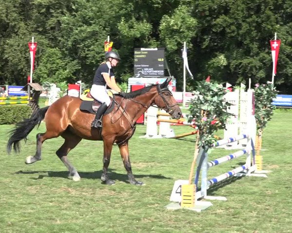 Reitturnier Kappelen-Lyss 2019