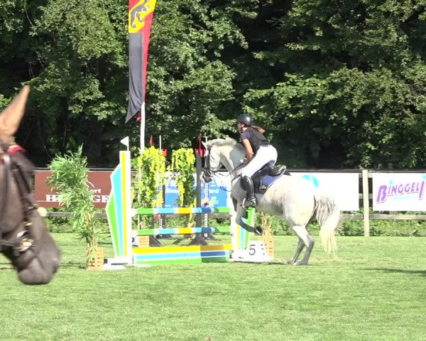 Reitturnier Kappelen-Lyss 2019